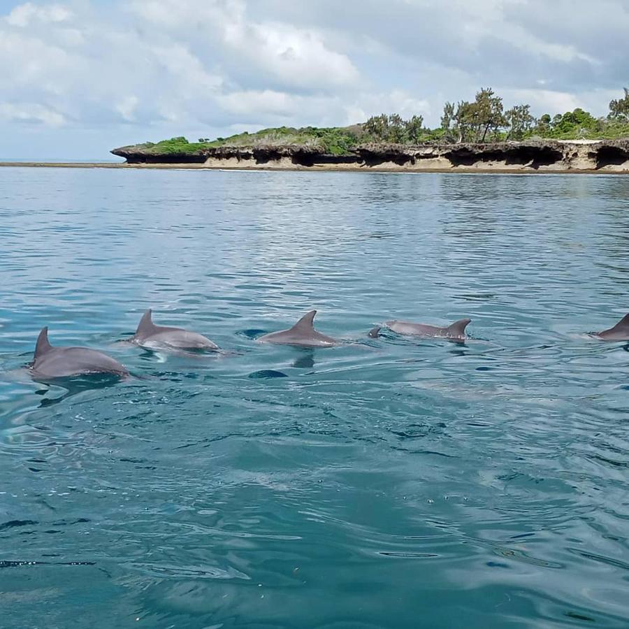 Ferienwohnung Wasini Raha Snorkeling And Diving Exterior foto