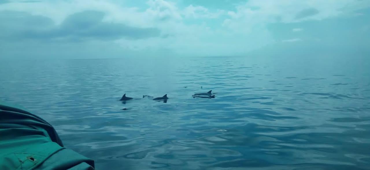 Ferienwohnung Wasini Raha Snorkeling And Diving Exterior foto